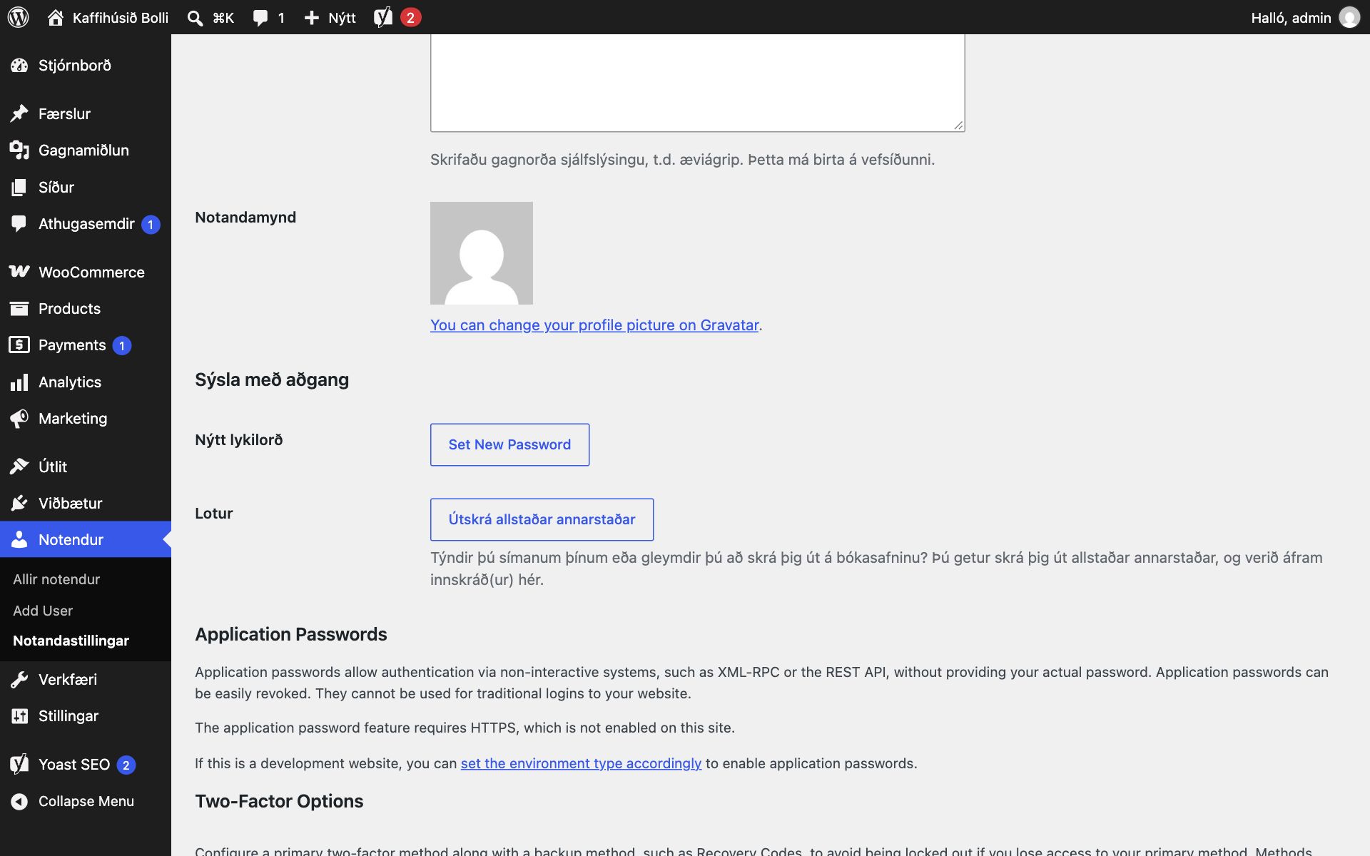 Neðri hluti prófílsíðu í WordPress. Undir „Sýsla með aðgang“ eru hnappurinn Set New Password við Nýtt lykilorð og hnappurinn „Útskrá allstaðar annarstaðar“ við Lotur. Fyrir neðan er hlutinn Application Passwords með texta um að eiginleikinn krefjist HTTPS, og efst glittir í Two-Factor Options.