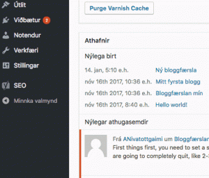 Leitarvélabestun í Yoast. SEO.